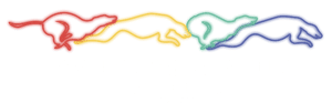 Owlerton Stadium